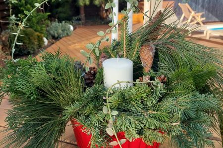 Внешний вид