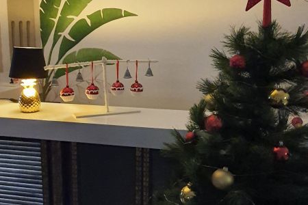 Внешний вид